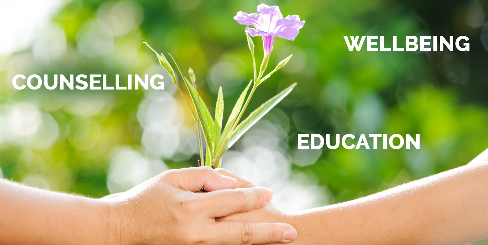 COUNSELLING THERAPY WELLBEING